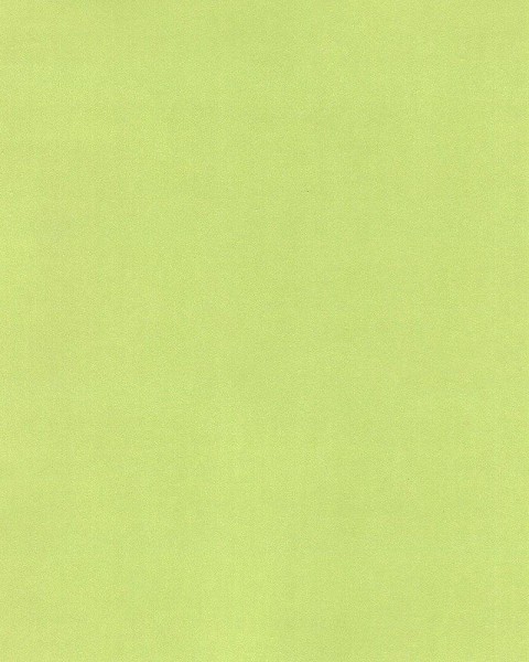 Hattan Palette | 65 Lime Green